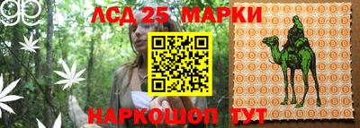 PSILOCYBIN Волжск