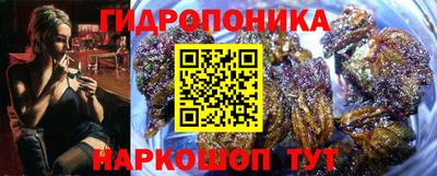 PSILOCYBIN Бугуруслан
