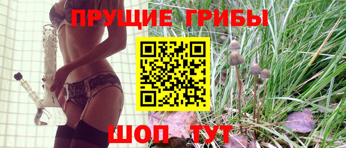 Псилоцибиновые грибы мицелий Озёрск